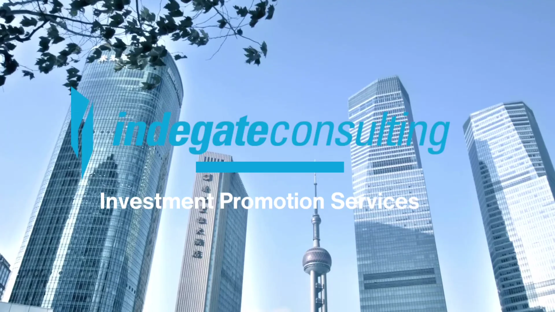Investment promotion and deal facilitation